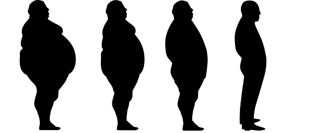 lose-weight-1911605_640.png